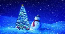 Guide – Winter Carnival