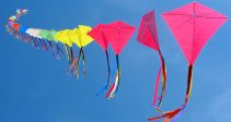 Guide – Spring Carnival