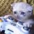 Profile picture of Hawke Jack