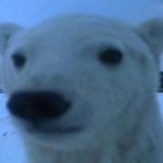 Profile picture of Igor9389