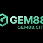 Profile picture of 51442211