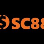 Profile picture of 51471504